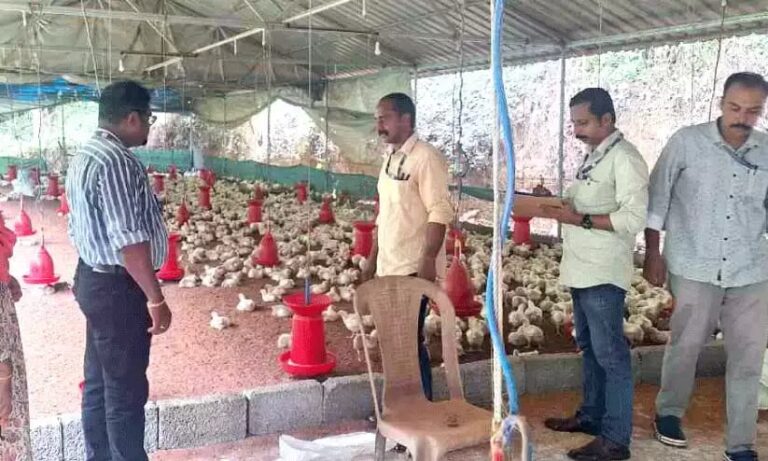 Bird flu