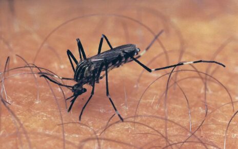 West Nile fever