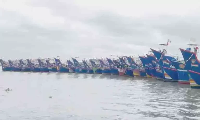 36