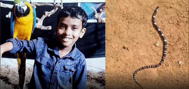 Screenshot 2026-04-23 115227