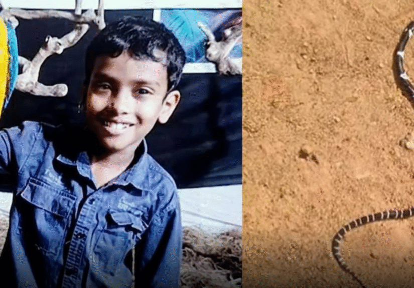 Screenshot 2026-04-23 115227