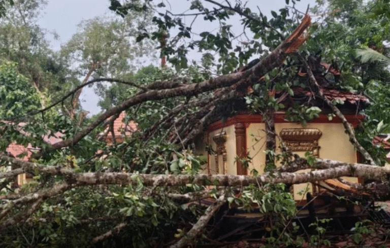 Screenshot 2026-04-25 100943