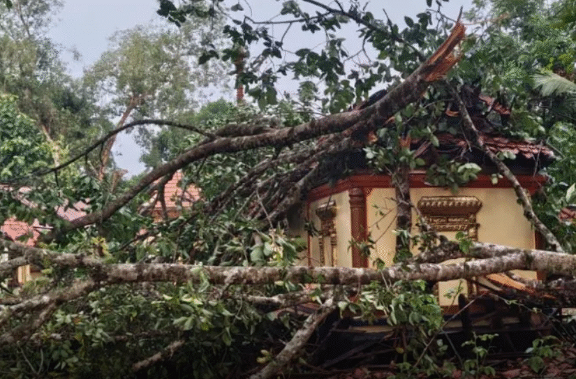 Screenshot 2026-04-25 100943