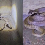 Screenshot-2026-04-28-170804