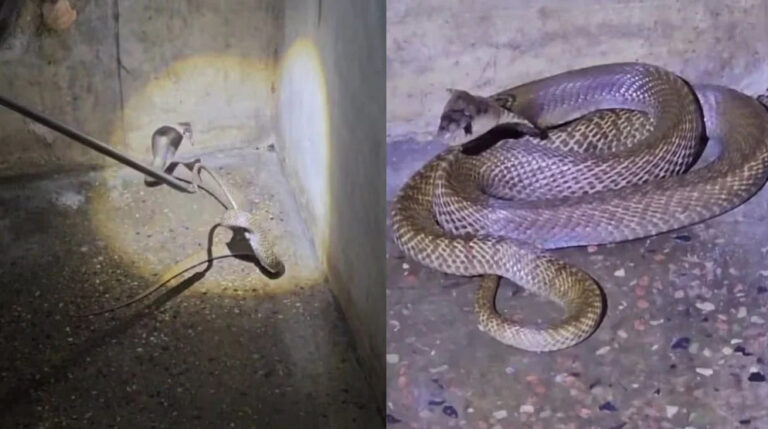 Screenshot-2026-04-28-170804