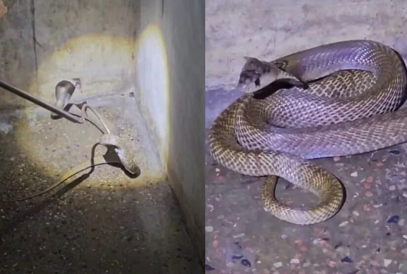 Screenshot-2026-04-28-170804