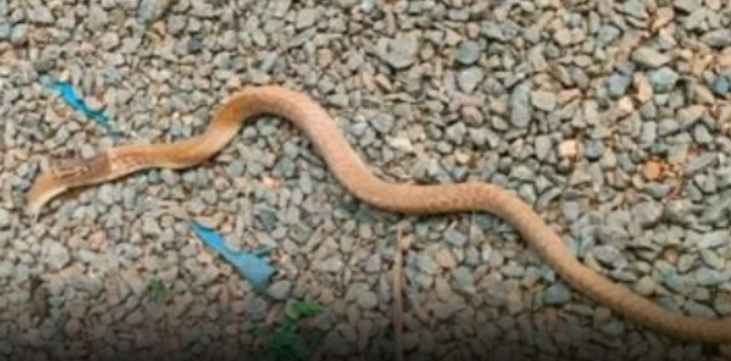 Screenshot 2026-04-29 100154