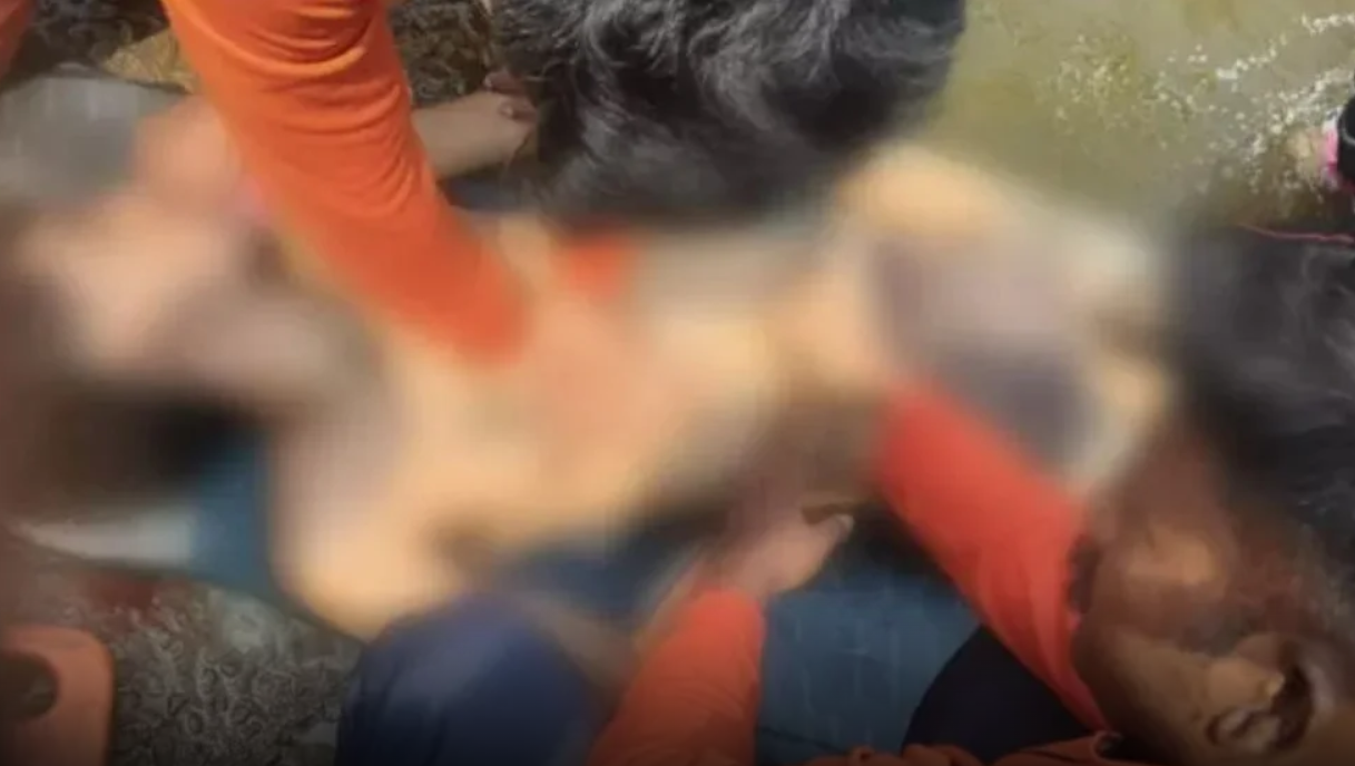 Screenshot 2026-04-29 101251