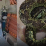 Screenshot 2026-05-02 102643
